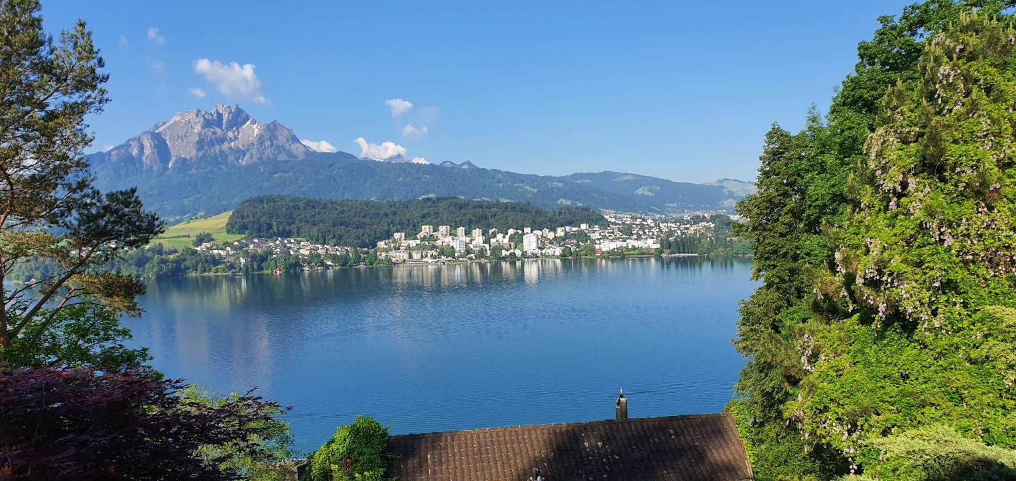 Queen Home Lucerne Exterior photo